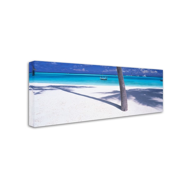 David Evans 'Palm Shadow-Maldives' Canvas Art,8x24